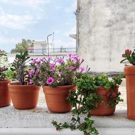Appartamento Dimitra'S Amarynthos Esterno foto